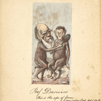 Jean-Faustin Betbeder 08